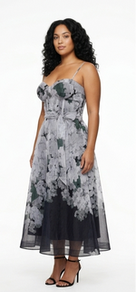 Organza Corset Maxi Dress